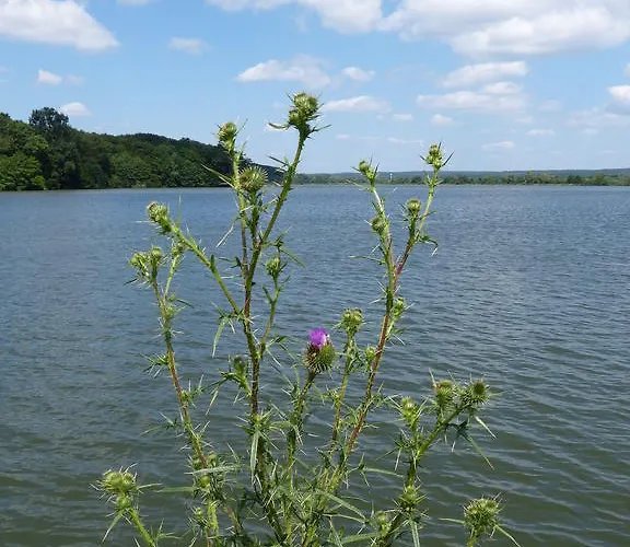 Bed & Breakfast To Panzio Orseg 3*